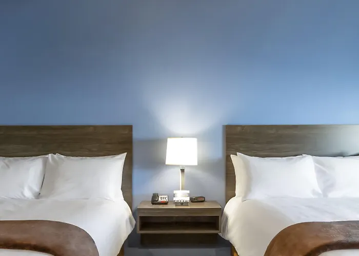 My Place Hotel-east Moline/quad Cities, Il 3*